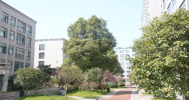 杭州租办公室网站,租办公室行业平台,金润科技园