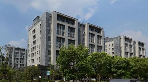 杭州办公室植物租赁